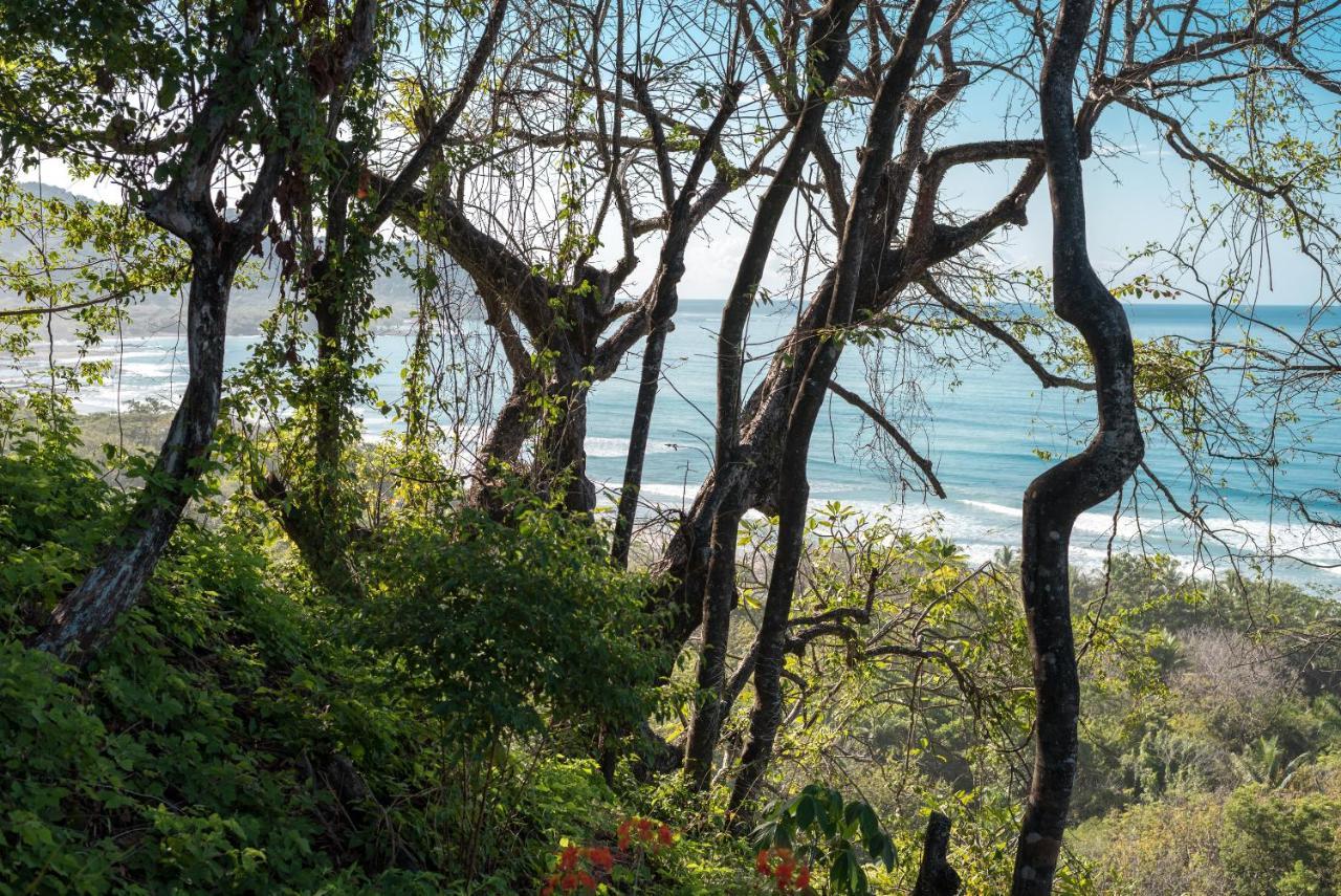 Готель Vista Del Alma Boutique - Adult Only Playa Santa Teresa  Екстер'єр фото